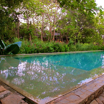 Swimming Pool – Copper House, Ali Bagh